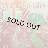 SLY & ROBBIE/RHYTHM KILLERS