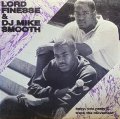 LORD FINESSE & DJ MIKE SMOOTH/BABY, YOU NASTY