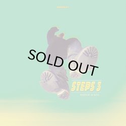 画像1: DJ KIYO/STEPS Vol.3