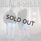 BLACK SHEEP/FLAVOR OF THE MONTH