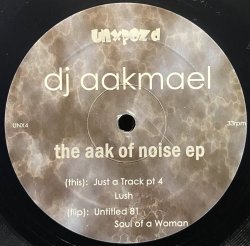画像1: DJ AAKMAEL/THE AAK OF NOISE	