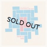 BLEND MISHKIN & SOUL SUGAR/THEORY OF MIND