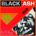 SLY & THE REVOLUTIONARIES/BLACK ASH DUB