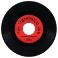 LEO VIDAL & THE RAYVELLES/HAUNTED BY YOUR LOVE