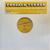 PROZACK TURNER/WONDERFUL LIFE