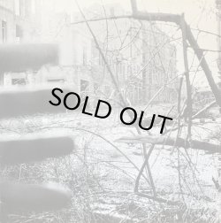 画像1: RAYON/LIBANON