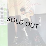 角松敏生/GOLD DIGGER