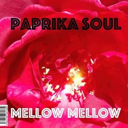 画像1: PAPRIKA SOUL/MELLOW MELLOW / TOO MUCH LOVE MAKIN'