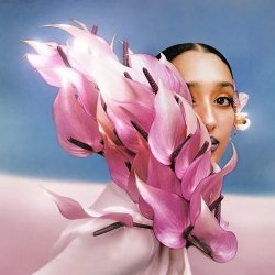 画像1: RAVEENA/WHERE THE BUTTERFLIES GO IN THE RAIN