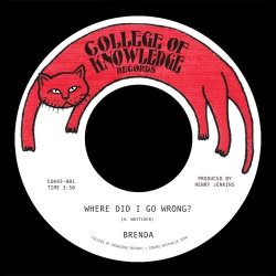 画像1: BRENDA/WHERE DID I GO WRONG? / FAMILY