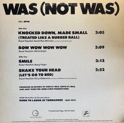 画像1: WAS (NOT WAS)/KNOCKED DOWN, MADE SMALL