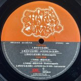 SHAKKAZOMBIE/手のひらを太陽に