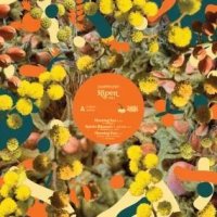 SAMPOLOGY/RIPEN VOL.1