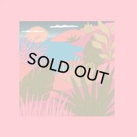 COYOTE / PEAKING LIGHTS / LOVE LETTERS