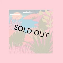 画像1: COYOTE / PEAKING LIGHTS / LOVE LETTERS