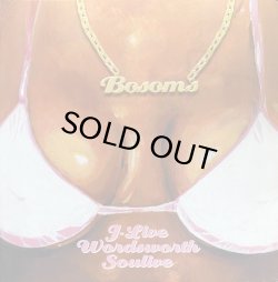 画像1: J-LIVE, WORDSWORTH, SOULIVE/BOSOMS
