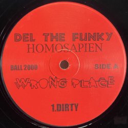 画像1: DEL THE FUNKY HOMOSAPIEN / KMD /WRONG PLACE / WHAT A NIGGY