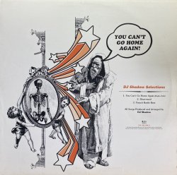 画像1: DJ SHADOW/YOU CAN'T GO HOME AGAIN