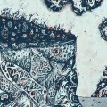 CALDERA/LAST TRANSMISSIONS FROM JEVVERS