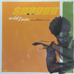 画像1: SHAGGY/WILD 2 NITE