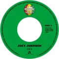 JOE JOHNSON/I.G.Y.