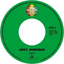 画像1: JOE JOHNSON/I.G.Y.