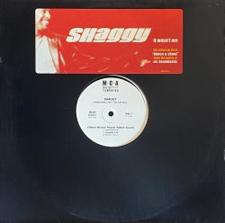 画像1: SHAGGY/IT WASN'T ME