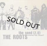THE ROOTS/THE SEED (2.0)
