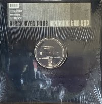 BLACK EYED PEAS/BRIDGING THE GAP