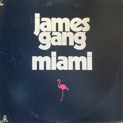 画像1: JAMES GANG/MIAMI