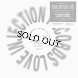 画像1: GENE TELLEM/PHANTOM VIBRATIONS