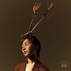 画像1: CHUDAHYE CHAGIS/UNDERNEATH THE DANGSAN TREE TONIGHT