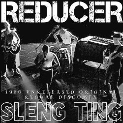 画像1: REDUCER/SLENG TENG ('86 DISCOMIX VERSION)