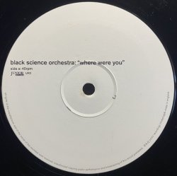 画像1: BLACK SCIENCE ORCHESTRA/WHERE WERE YOU