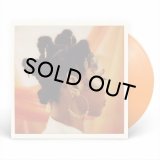 HOLLIE COOK/SHY GIRL