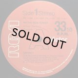 ODYSSEY/NATIVE NEW YORKER