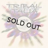 V.A./TRIBAL ITALIA BREAKS VOL. 2