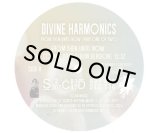 KUNIYUKI TAKAHASHI / JOAQUIN JOE CLAUSSELL / DIVINE HARMONICS PT4. DISC ONE OF A TWO PART 12INCH SERIES