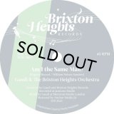 GAUDI & THE BRIXTON HEIGHTS ORCHESTRA/AM I THE SAME MAN?