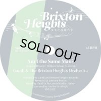 GAUDI & THE BRIXTON HEIGHTS ORCHESTRA/AM I THE SAME MAN?