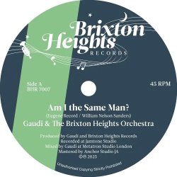 画像1: GAUDI & THE BRIXTON HEIGHTS ORCHESTRA/AM I THE SAME MAN?
