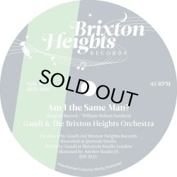 画像1: GAUDI & THE BRIXTON HEIGHTS ORCHESTRA/AM I THE SAME MAN?