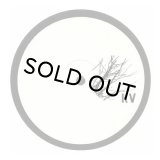 POD & EDWARD RICHARDS/POLAR PHASE EP