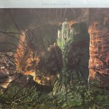 GRAVE/INTO THE GRAVE			