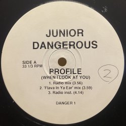 画像1: JUNIOR DANGEROUS/PROFILE