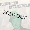 DAEVID ALLEN/ALIEN IN NEW YORK