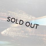 ANIMAL COLLECTIVE/SUMMERTIME CLOTHES