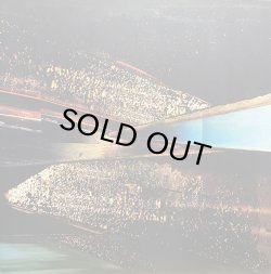 画像1: ANIMAL COLLECTIVE/SUMMERTIME CLOTHES