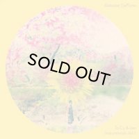 ALABASTER DEPLUME/To Cy & Lee: Instrumentals Vol 1(IA11 EDITION)