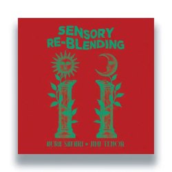 画像1: AURA SAFARI & JIMI TENOR/SENSORY REBLENDING